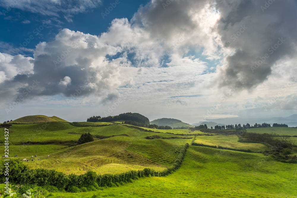 Wonderful hills and fields landscape in Sao Miguel, Azores Islands Wonderful hills and fields landscape in Sao Miguel, Azores Islands
