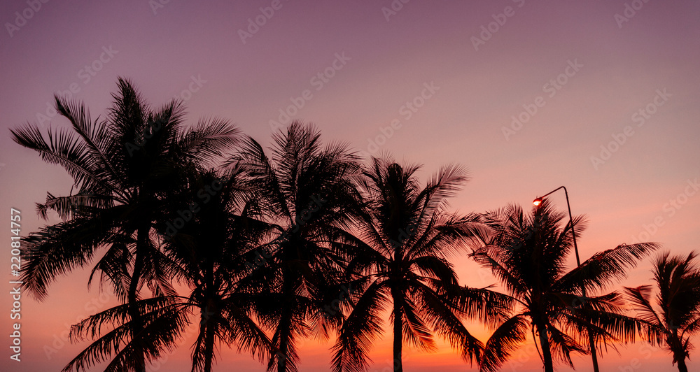 Twilight sunset with coconut tree at the beach.,background.
