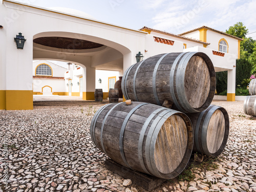 Wine barrels in Alentejo wine region, Portugal photo