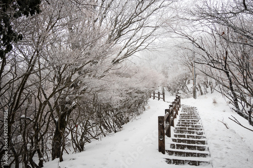 Snow covered The beppu ropeway is a beautiful view, but it is difficult to travel and it can be dangerous to slip into the slope.