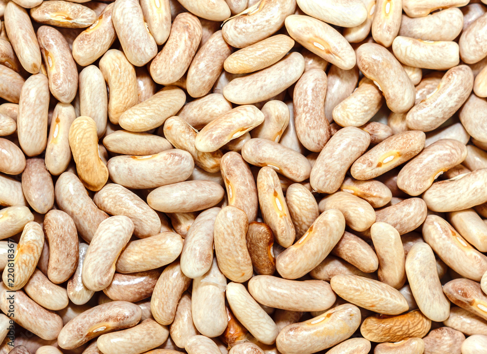 Grains of dry beans Grains of dry beans