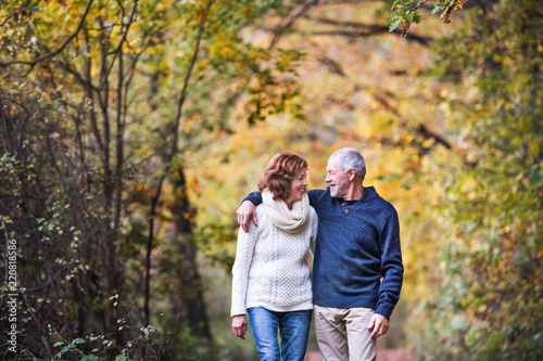 A portrait of a senior couple walking in an autumn nature. Copy space.