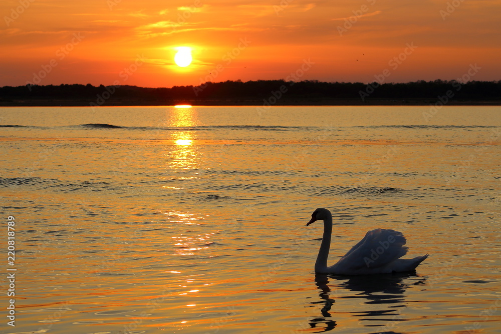 Art beautiful romance landscape Art beautiful romance landscape