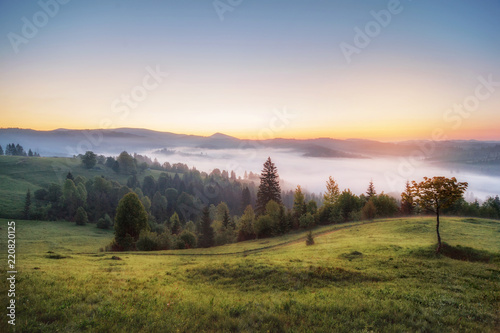 amazing view with trees on horizon on sunset. summer landscape. beautiful natural background