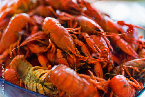 Tasty red boiled crayfish close up background