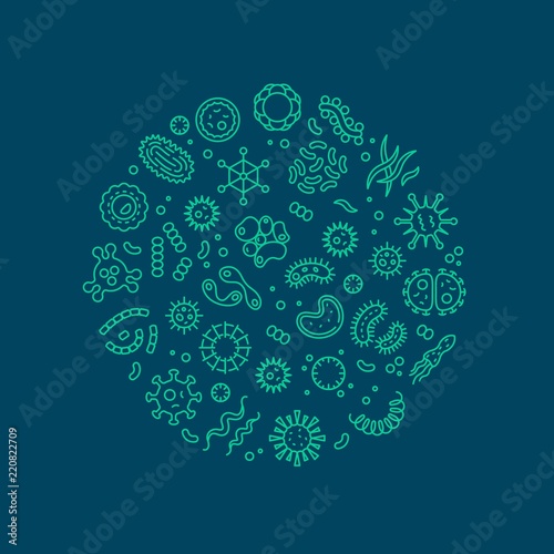 Microbes, viruses, bacteria, microorganism cells and primitive organism line vector concept. Virus cell and microbe, bacteria organism, medical microscopic illustration photo