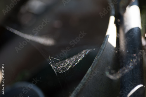 Pattern made of cobweb shining in the sun