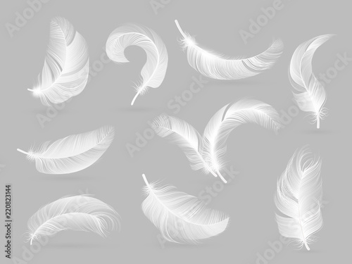 Realistic feathers. White bird falling feather isolated on white background vector collection. Illustration of feather bird, soft white plume