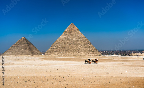 Great pyramids in Giza valley and rider on horse. Egypt.