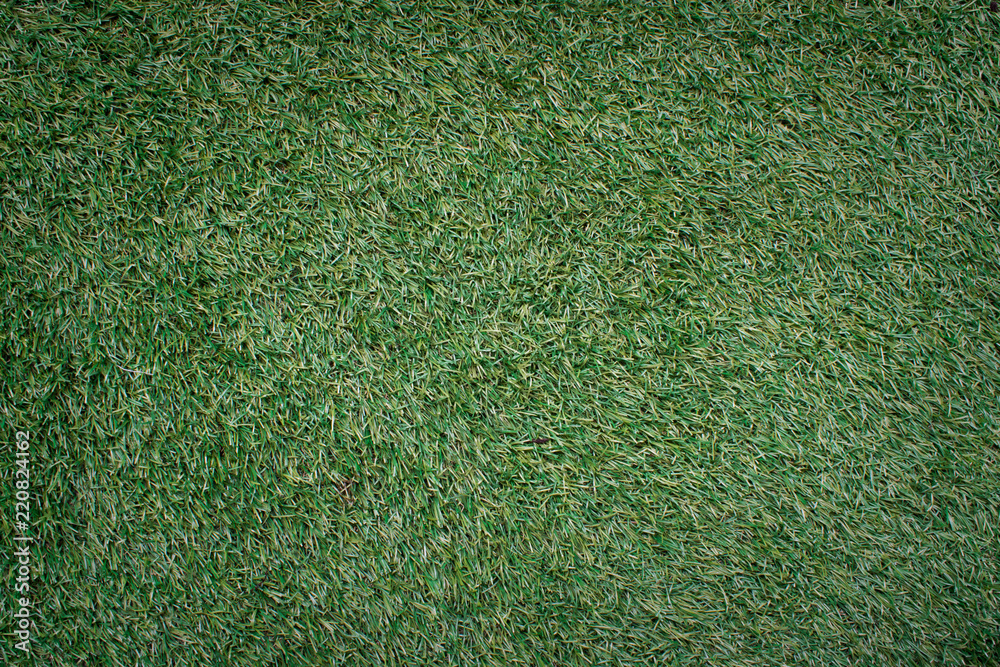 Fototapeta premium natural green manila grass texture background