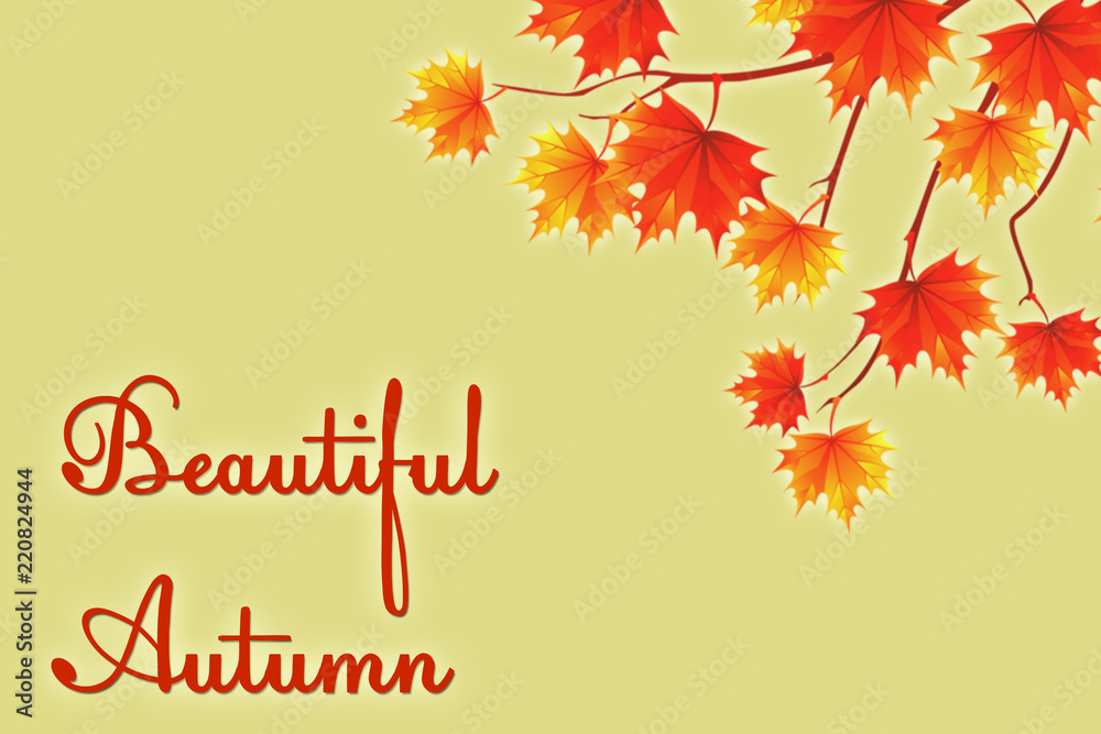 beautiful autumn. Autumn background with leaves.