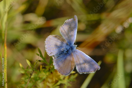 вера,надежда,любовь