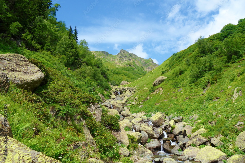 Mountain stream in Caucasus Mountains on a hiking trail leading to Silver lakes in Georgia