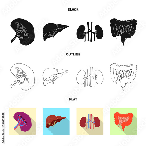 Vector design of body and human icon. Collection of body and medical stock vector illustration.