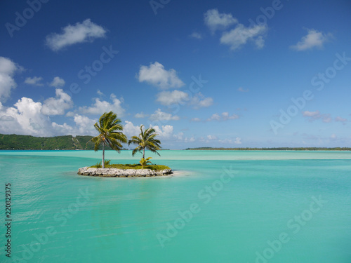 Palm tree island in turquoise lagoon