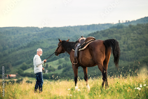 A senior man holding a horse by his lead on a pasture.