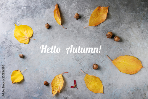 Yellow autumn leaves and acrons seasonal background over grey texture surface. Flat lay, copy space. Text hello autumn photo