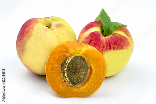 Two ripe red-yellow peaches and orange apricot are isolated on a white background. photo