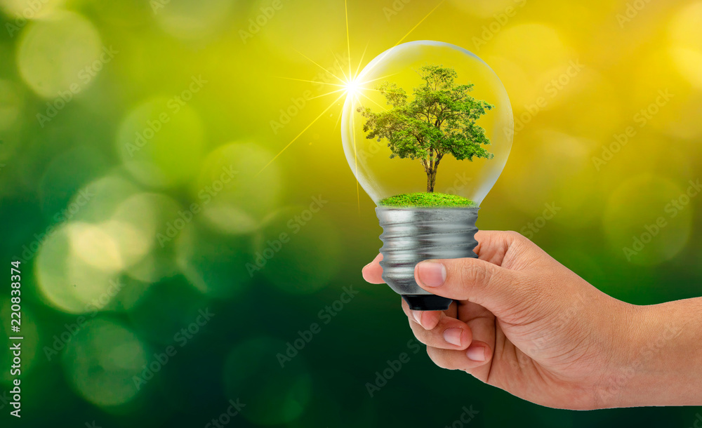 The forest and the trees are in the light. Concepts of environmental conservation and global warming plant growing inside lamp bulb over dry soil in saving earth concept - obrazy, fototapety, plakaty 