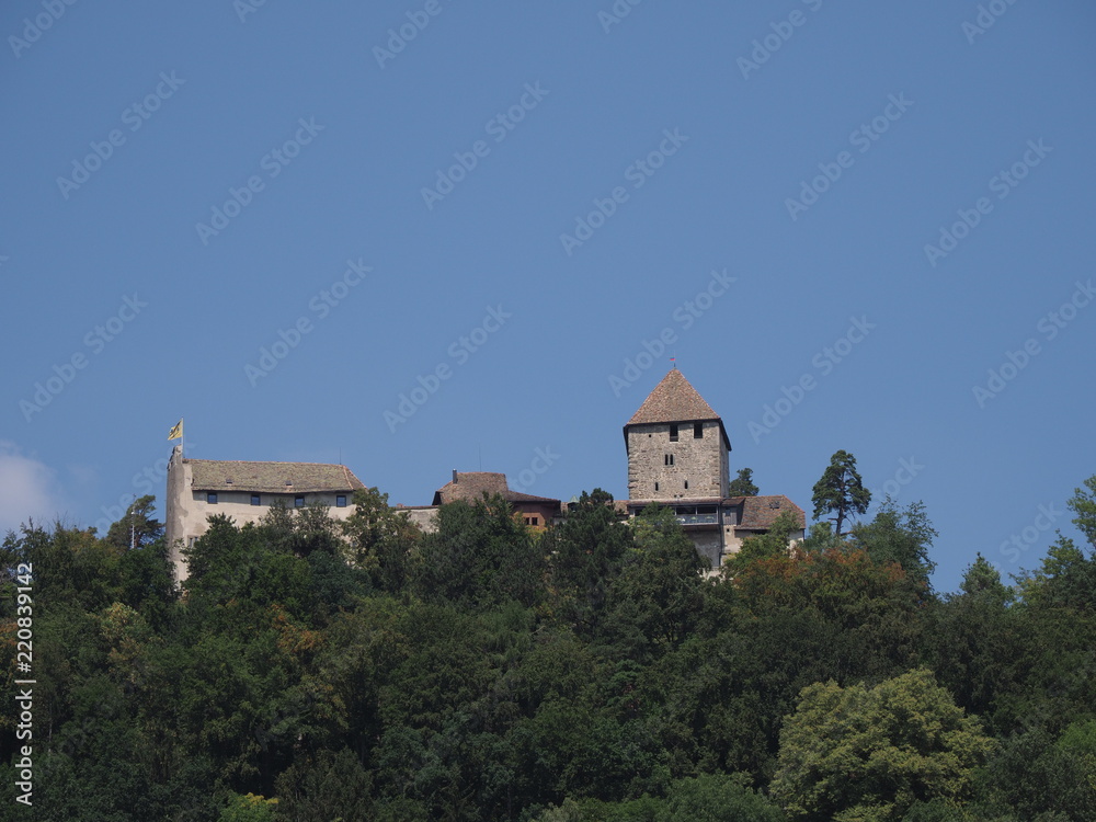 Swiss Hohenklingen castle in forest landscapes at hill above european Stein am Rhein town in Switzerland