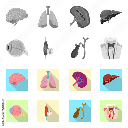 Vector design of body and human icon. Set of body and medical stock symbol for web.