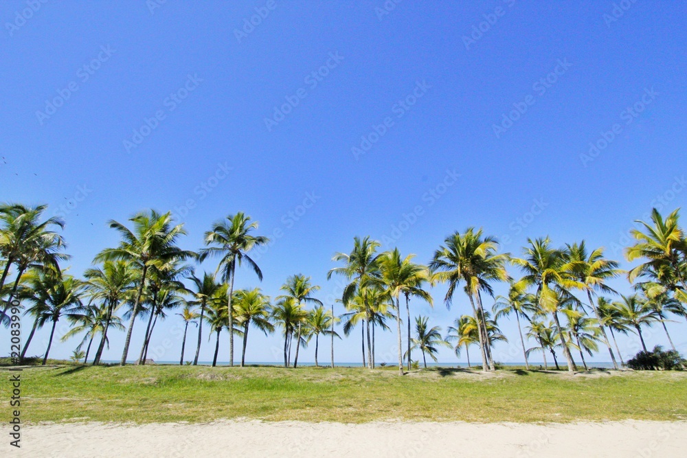 Fototapeta premium Férias
