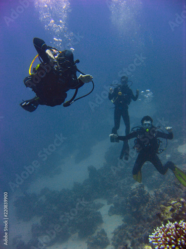 photo of scuba divers under water, Eilat, Red Sea, Israel © ame kamura