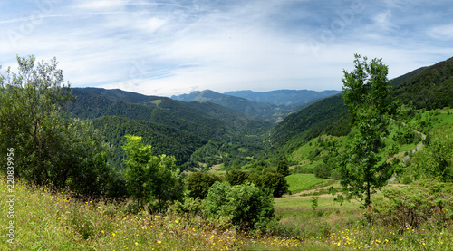 green landscape in the mountains, French Pyrenees