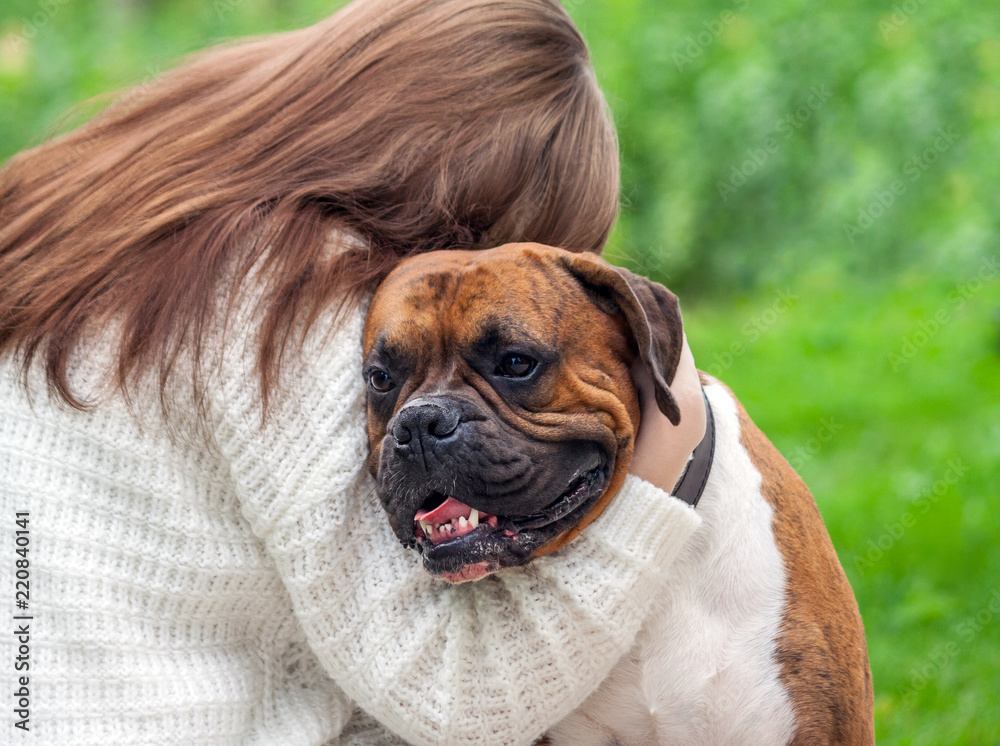 girl with long brown hair and a white sweater hugs a dog breed of a German boxer, person photo from the back, the animal looks sideways cuddles to the girl, the background grass and greens are blurry