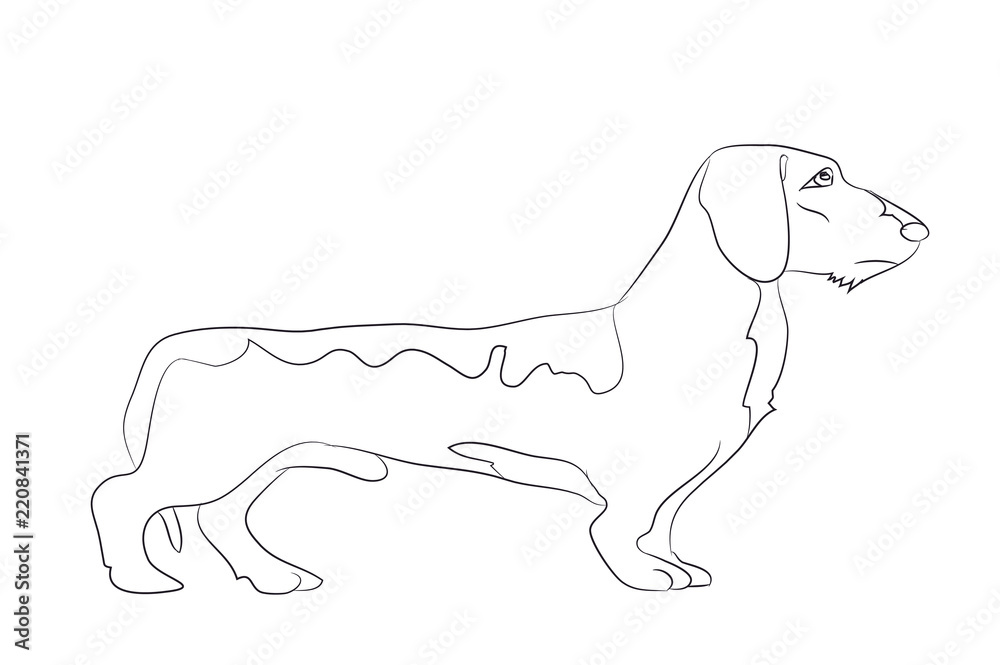 dog stands, lines, vector