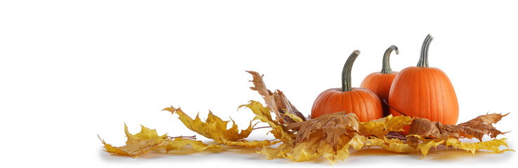 Pumpkins and fall leaves
