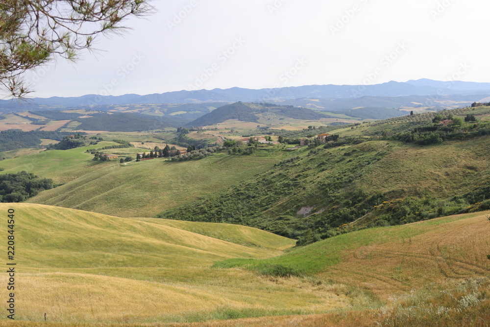Colline Toscane Colline Toscane