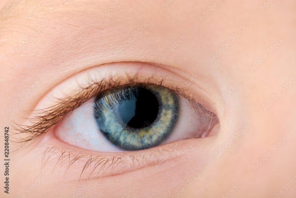 eye close-up with protein and in color eye close-up with protein and in color
