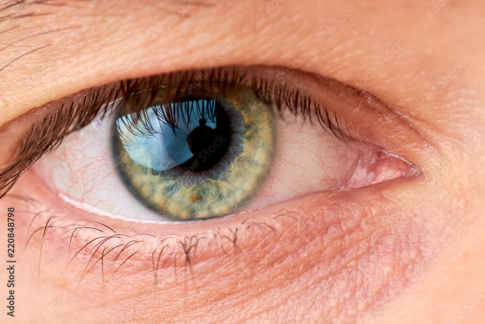 Obraz premium eye close-up with protein and in color