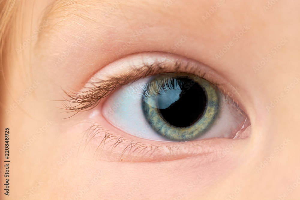 eye close-up with protein and in color eye close-up with protein and in color