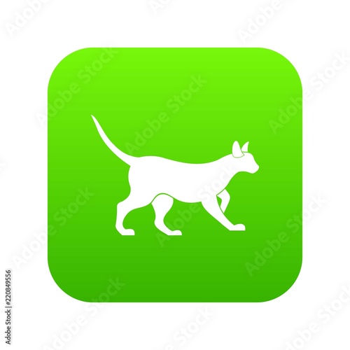 Cat icon digital green for any design isolated on white vector illustration