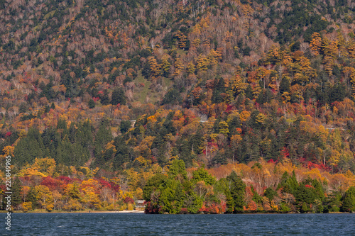 Autumn forest landscape and lake
