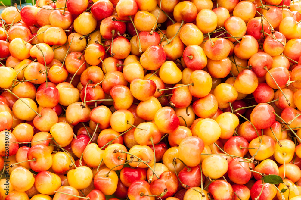 A pile of rainier cherries.