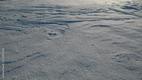 Drifting snow (natirvik) on a Sunny day, wind crust
 photo