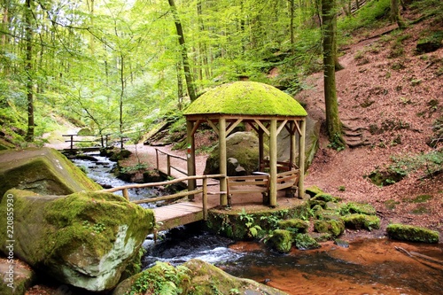 Karlstalschlucht im Pfälzerwald