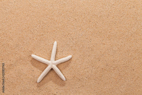 sandy beach scene in summer holiday vacation with starfish on sand and copy space