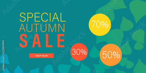 Special autumn sale banner horizontal. Flat illustration of vector special autumn sale banner horizontal for web design