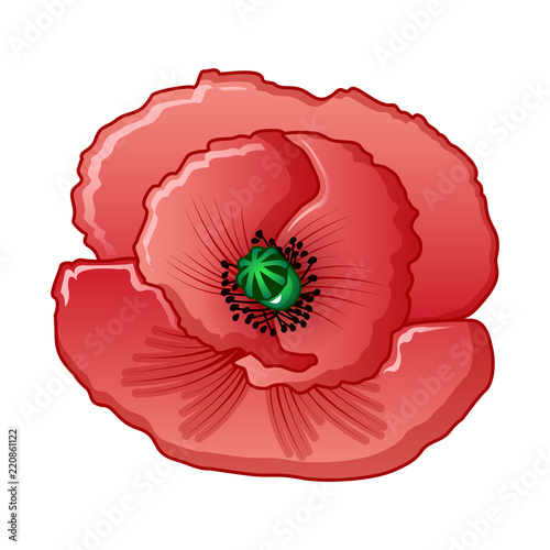 Opium flower icon. Cartoon of opium flower vector icon for web design isolated on white background