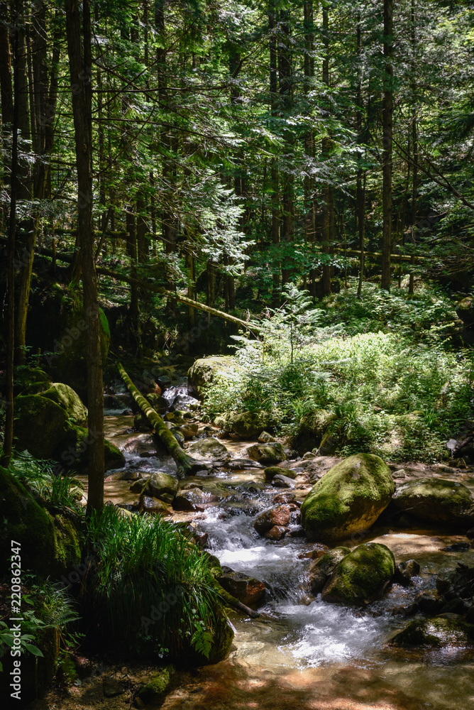 beautiful scenery along the nakasendo trail in japan beautiful scenery along the nakasendo trail in japan