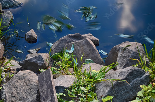 water and stones at long exposure
