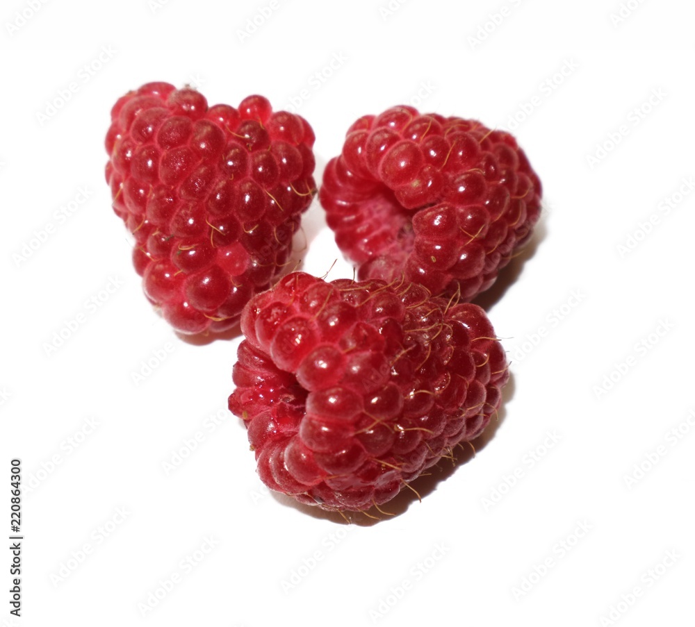 Raspberry large berries isolated on white background. Raspberry large berries isolated on white background.