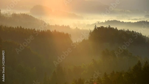 Misty morning with sunrise in a valley of Bohemian Switzerland park. Detail of forest, landscape of Czech Republic.