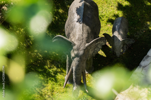 Elephant and her calf walking through forest