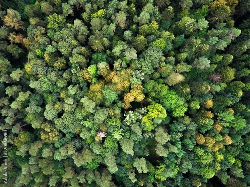 Obraz Lubelskie lato z lotu ptaka