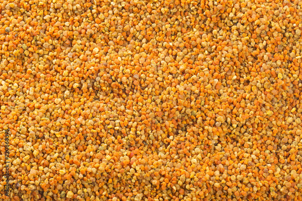 Honey bee pollen - Top view Honey bee pollen - Top view